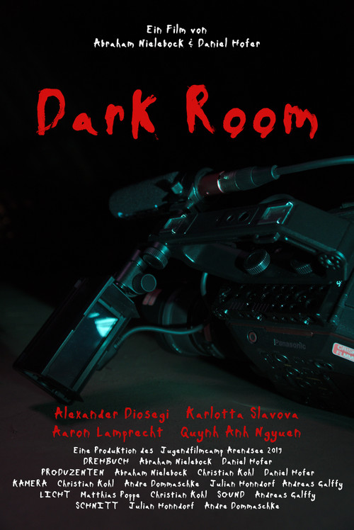 Movie poster for DARK ROOM (2020)