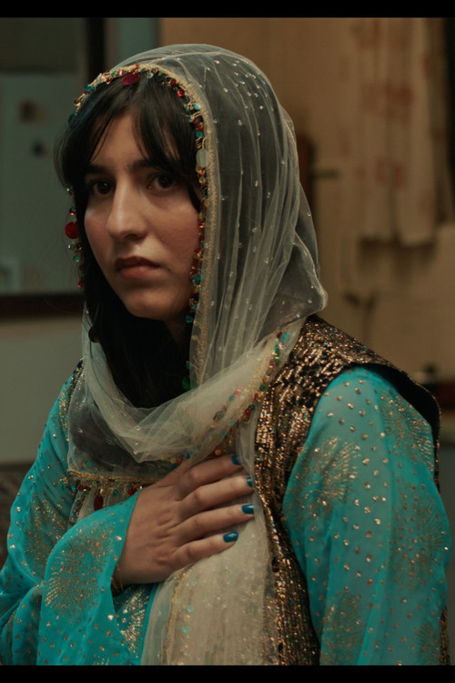 Photo of Fereshteh Seraj, Acting