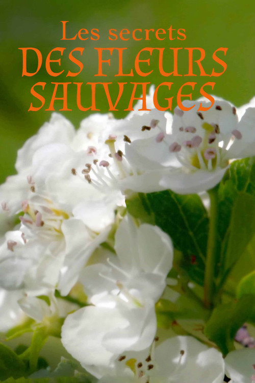 Series poster for Les Secrets des fleurs sauvages (2019)