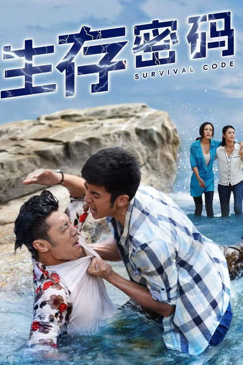 Survival Code poster