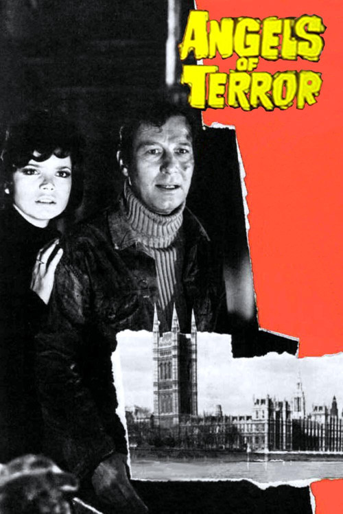 Movie poster for Angels of Terror (1971)