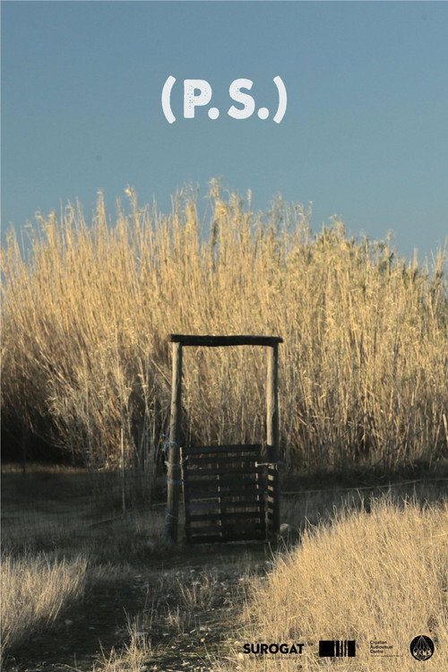 Movie poster for (P.S.) (2024)
