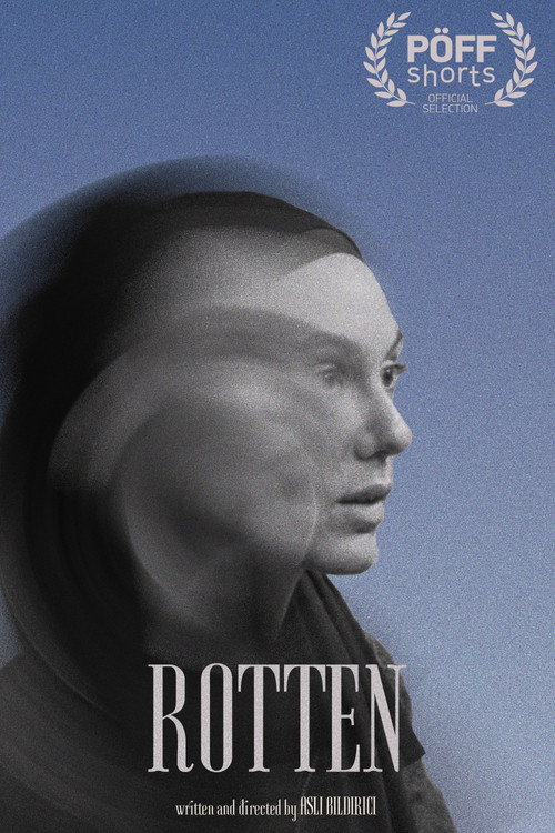 Movie poster for Rotten (2025)