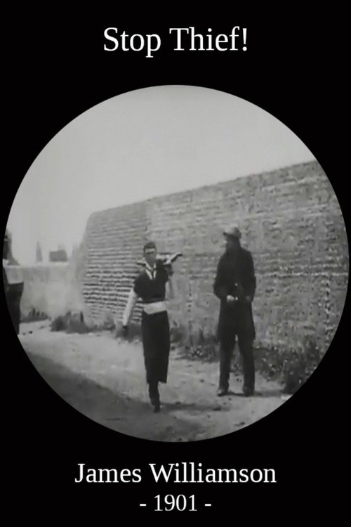 Movie poster for Stop Thief! (1901)