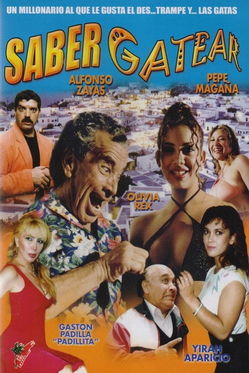 Movie poster for Saber gatear (1995)