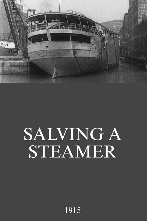 Movie poster for Salving a Steamer (1915)