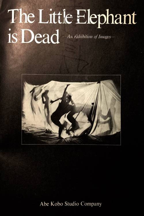 Movie poster for The Little Elephant is Dead / An Elephant Calf Is Dead (1980)