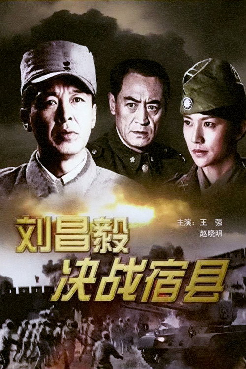 Movie poster for Decisive Battle (2009)