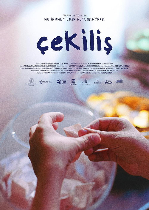 Movie poster for The Raffle (2024)