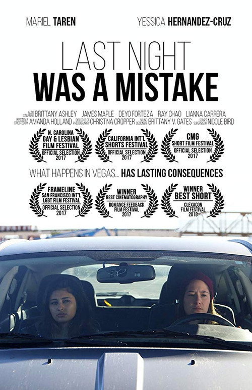 Movie poster for Last Night Was a Mistake (2017)