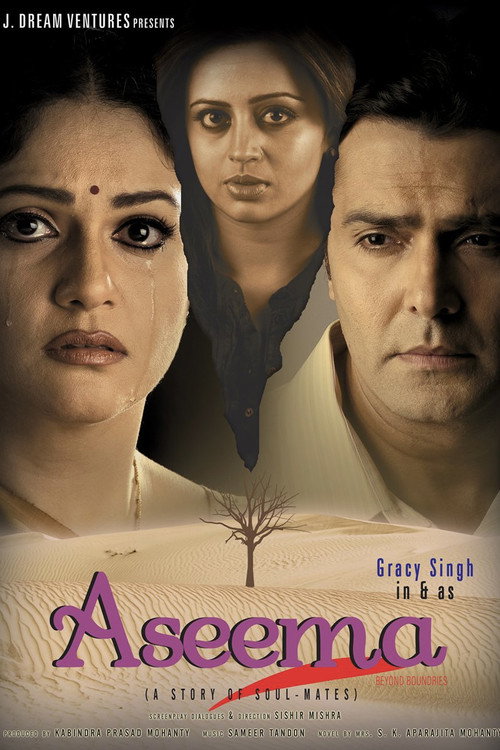 Movie poster for Aseema: Beyond Boundaries (2009)
