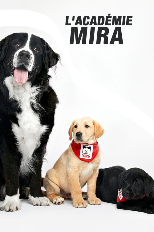 Series poster for L'académie Mira (2019)