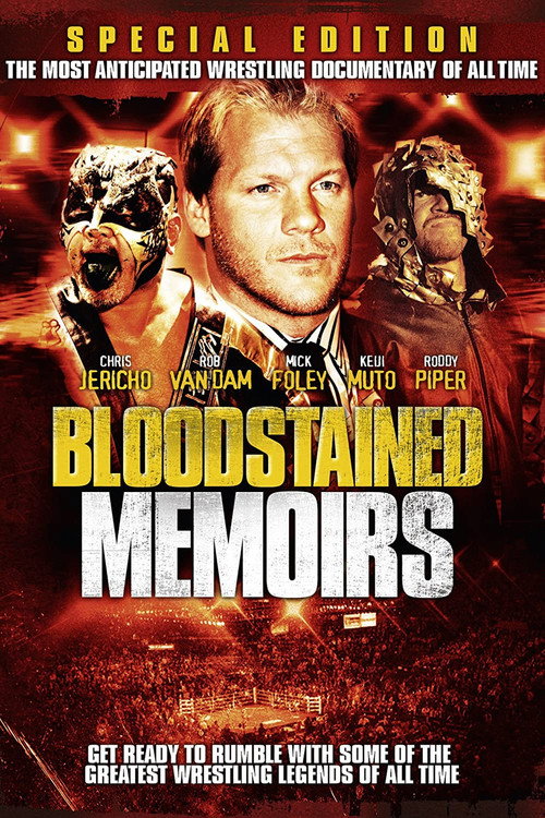 Movie poster for Bloodstained Memoirs (2009)