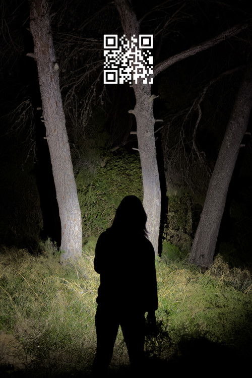 Movie poster for Q.R. (2025)
