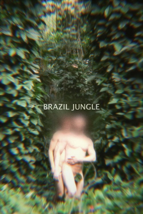 Movie poster for Brazil Jungle (2016)