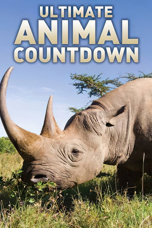 Series poster for Ultimate Animal Countdown (2013)