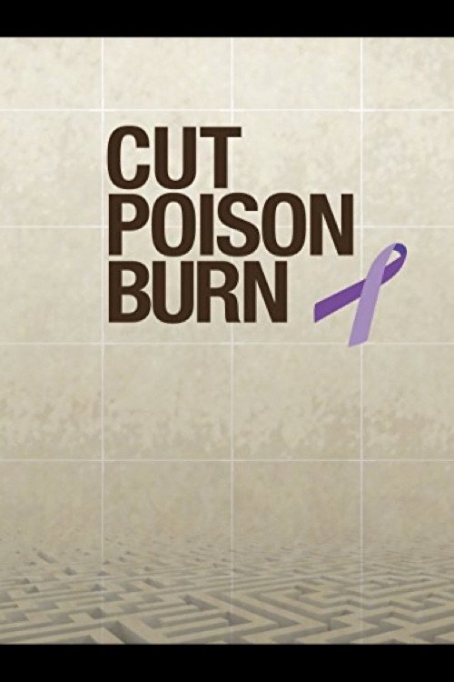 Movie poster for Cut Poison Burn (2010)