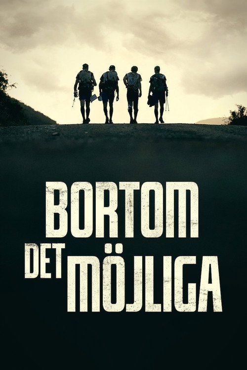 Movie poster for Bortom det möjliga (2024)