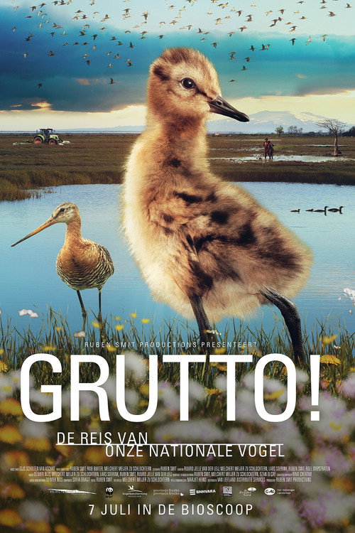Movie poster for Grutto! De reis van onze nationale vogel (2022)