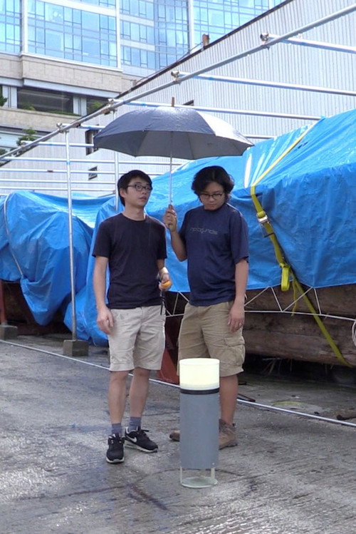 Movie poster for Being Rain: Representation and Will (2014)