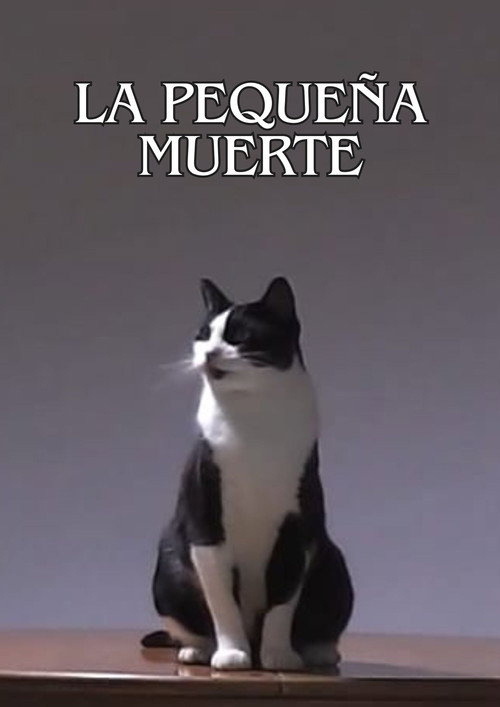 Movie poster for La Pequeña Muerte (2024)