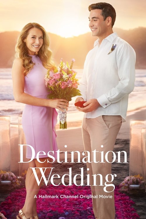 Movie poster for Destination Wedding (2017)