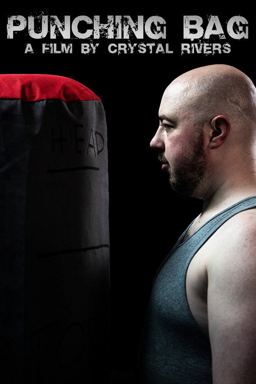 Movie poster for Punching Bag