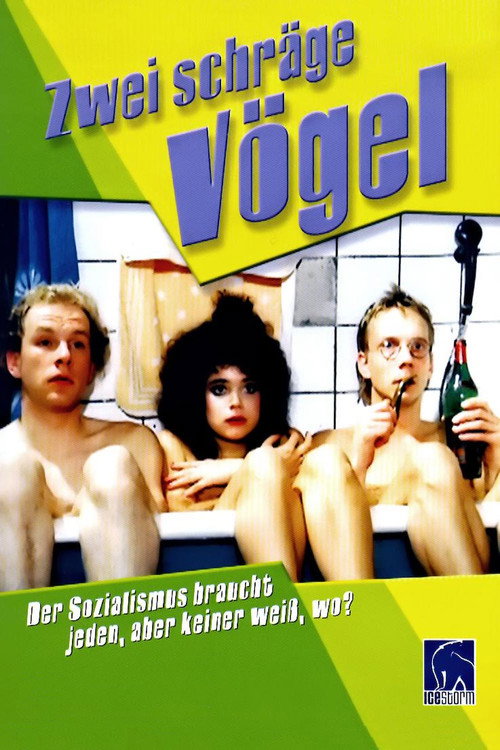 Movie poster for Two Strange Characters (1989)