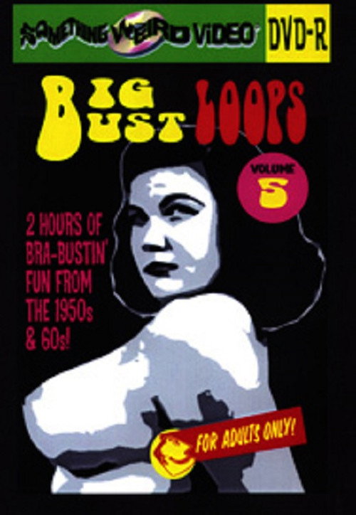 Movie poster for Big Bust Loops Volume 5 (2009)