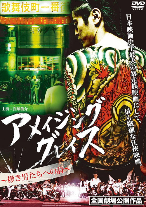 Movie poster for Amazing Grace (2011)