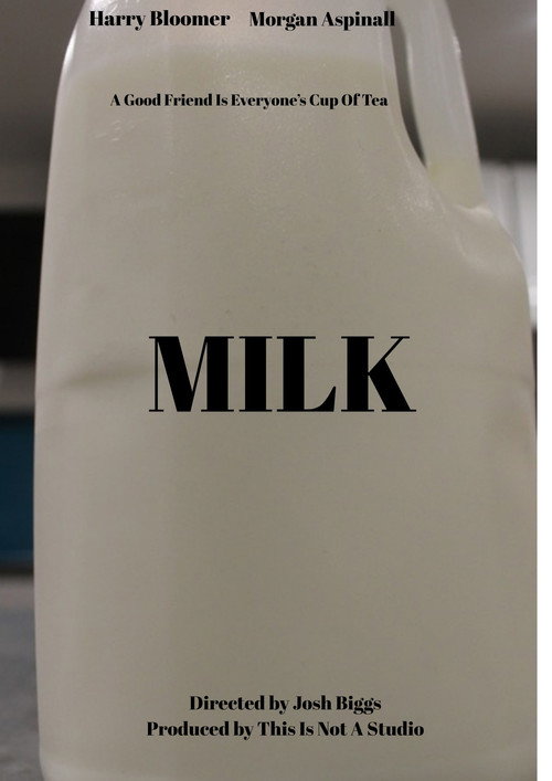 Movie poster for Milk