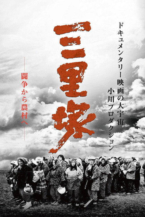 Movie poster for Summer in Sanrizuka (1968)