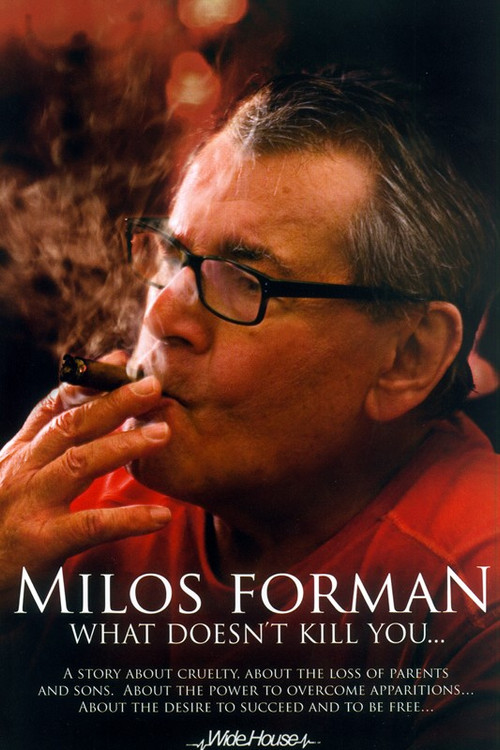 Movie poster for Miloš Forman: What Doesn't Kill You… (2009)