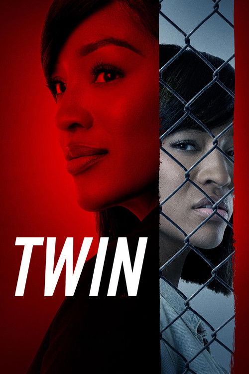 TWIN poster