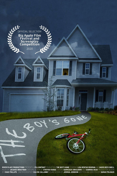 Movie poster for The Boy's Gone (2020)