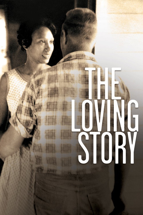 Movie poster for The Loving Story (2011)