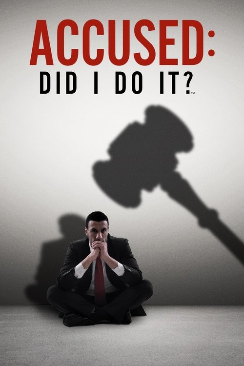 Accused: Did I Do It? poster