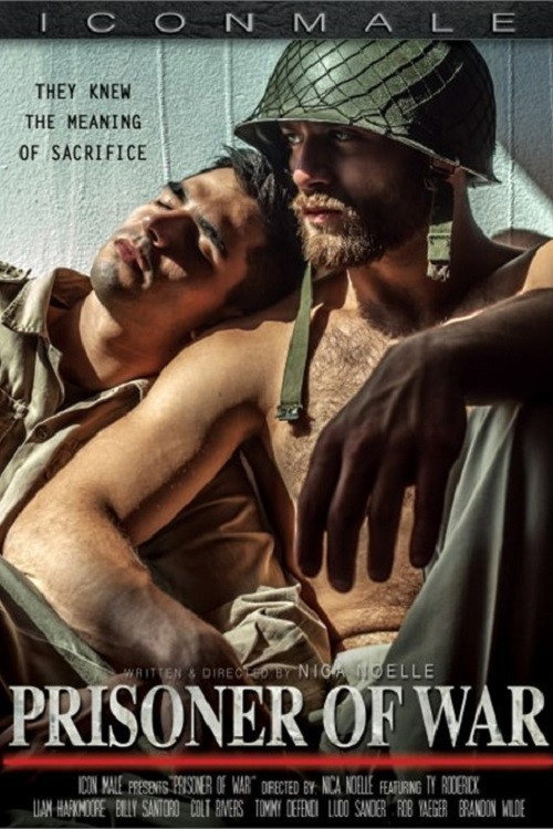 Movie poster for Prisoner of War (2014)