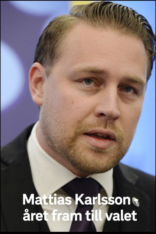 Movie poster for Mattias Karlsson: Året fram till valet (2019)