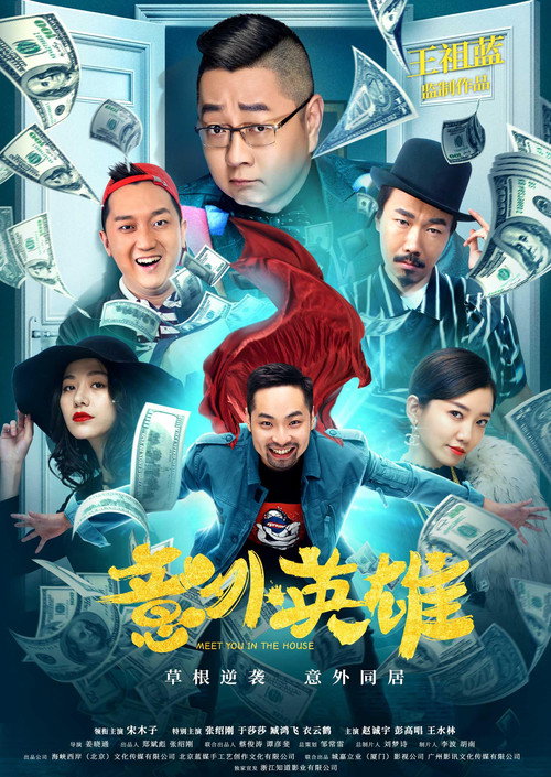 Movie poster for Accidental Hero (2020)