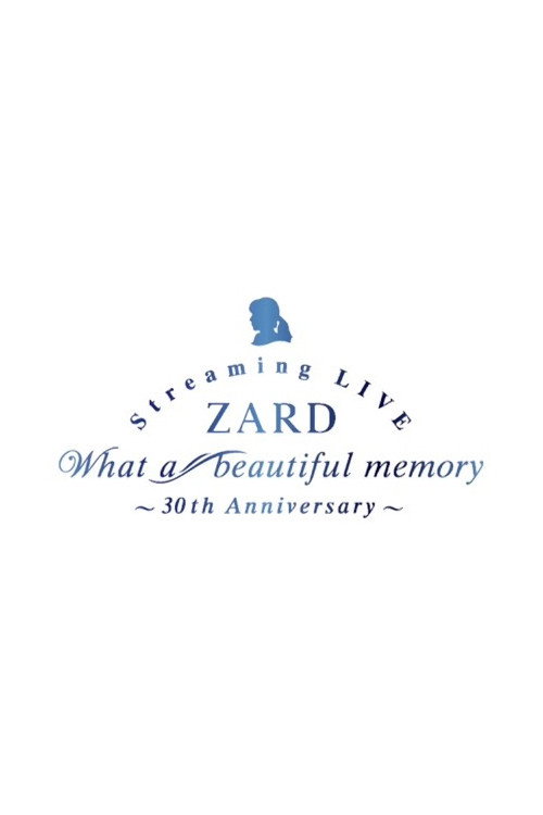 Movie poster for What a beautiful memory ~30th anniversary (2021)