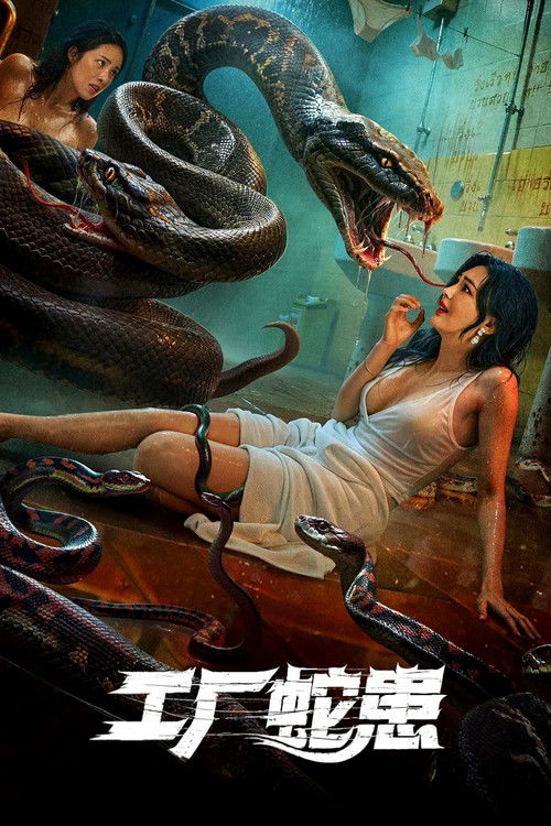 Movie poster for Snake Infestation in Factory (2025)