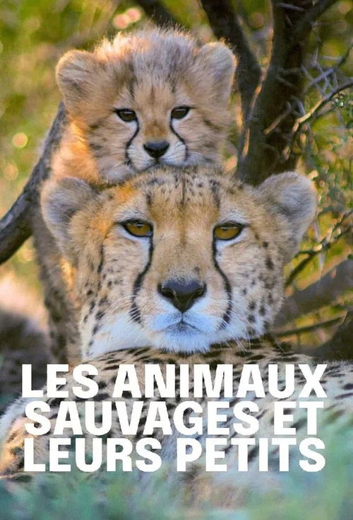 Series poster for Tierkinder der Wildnis (2020)
