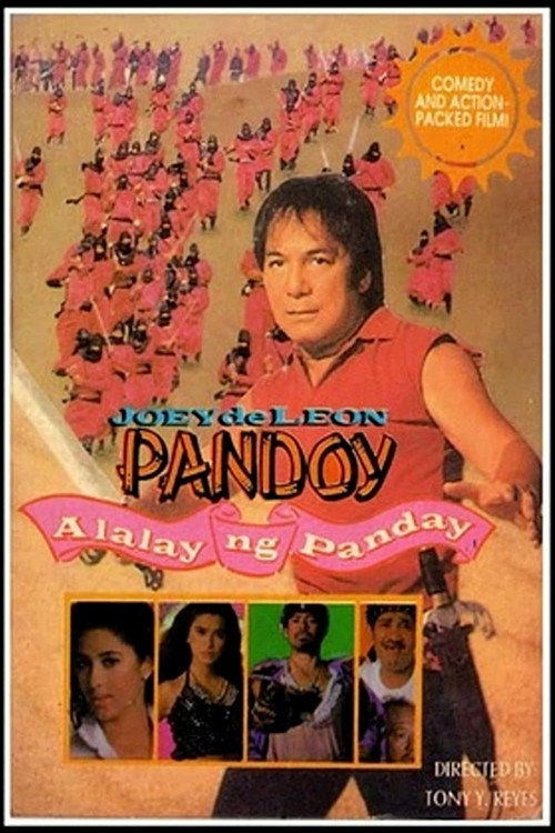 Movie poster for Pandoy: Alalay ng Panday (1993)