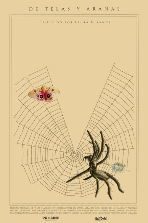 Movie poster for Of Webs and Spiders
