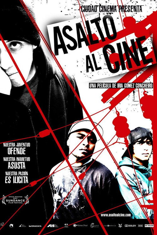 Movie poster for Asalto al cine (2011)