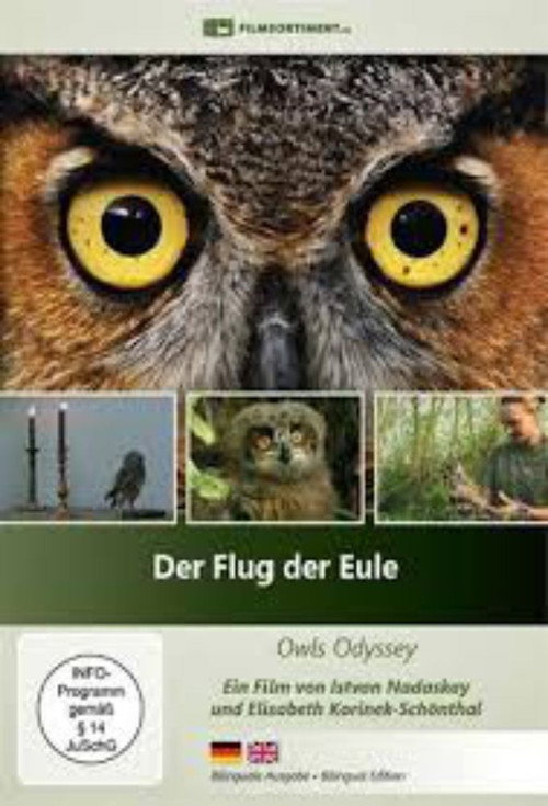 Movie poster for Der Flug der Eule (2013)