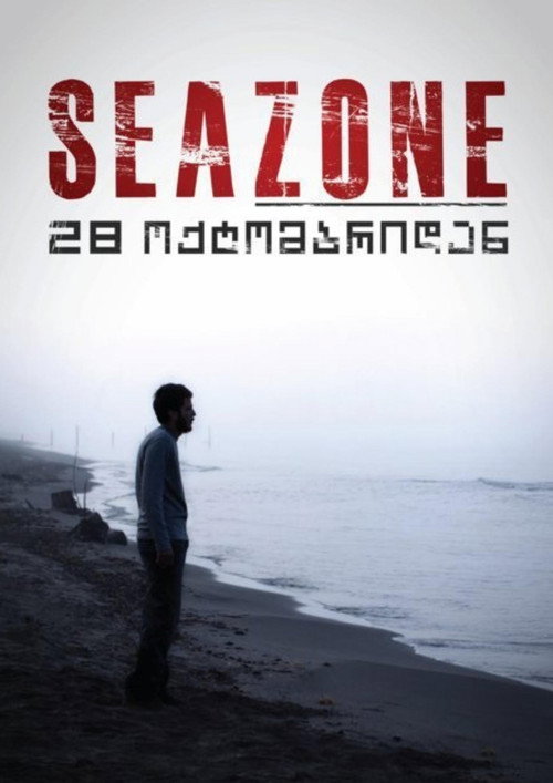 Movie poster for Seazone (2010)