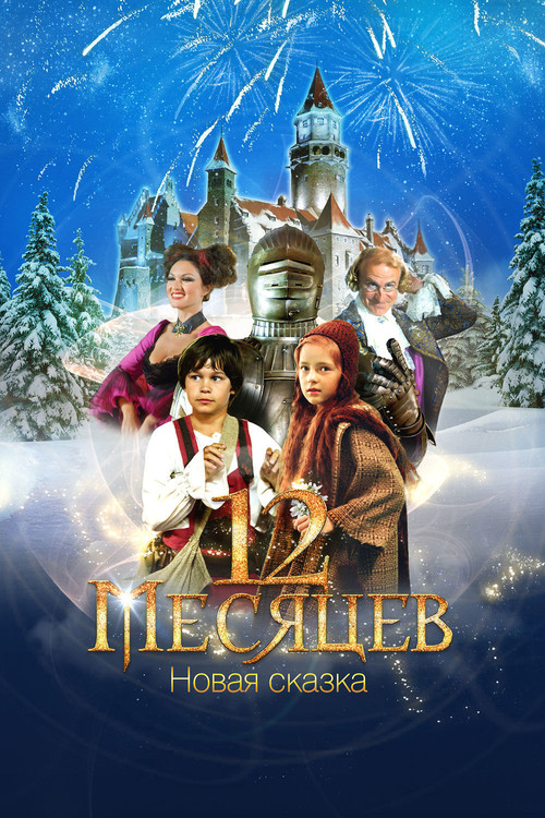 Movie poster for 12 Months. A New Fairy Tale (2015)