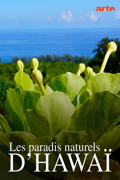 Movie poster for Hawaiis versteckte Paradiese (2022)